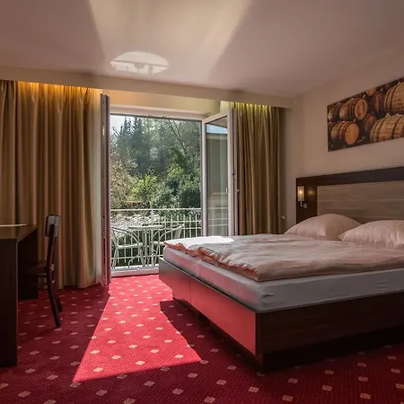 Park Hotel Otel Cochem