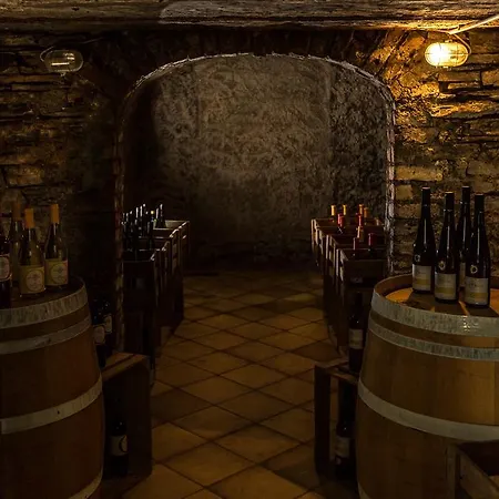 Park Hotel 3* Cochem